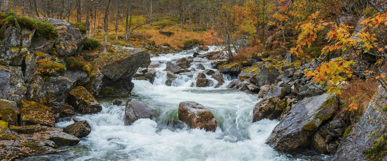 Koliapani River: A Serene Escape