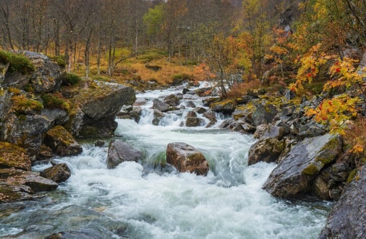 Koliapani River: A Serene Escape